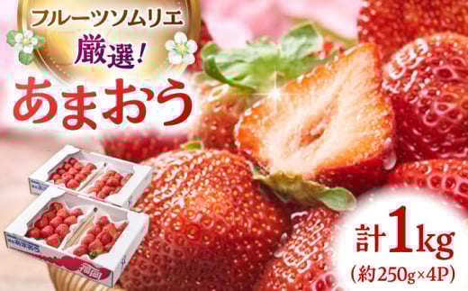 y2026N2{蔭zYytz܂4pbN   ܂ C`S  ʕ t[c j쒬/썑t[c[ADBW008]j쒬12000ʕEt[c