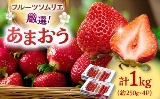 y2025N12{蔭zYy~z ܂ 4pbN   ܂ C`S  ʕ t[c j쒬/썑t[c[ADBW012]j쒬20000ʕEt[c