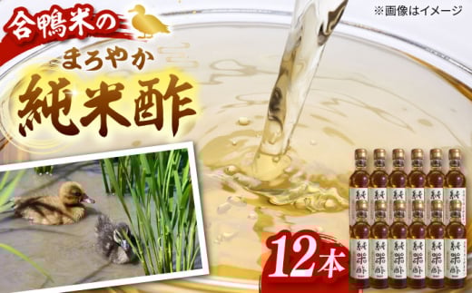 Ƒ Ö_@Đ|  300ml×12{Zbg@ | | | }l@Ƒ Ö_/j쒬 [ADAL015]j쒬26000E|