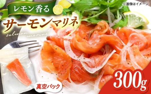 yT[ubNz  T[ }l AgeBbNT[ 300g j쒬/zٓ  [ADCC002]   Ⓚ Jpb`j쒬15000ECYN