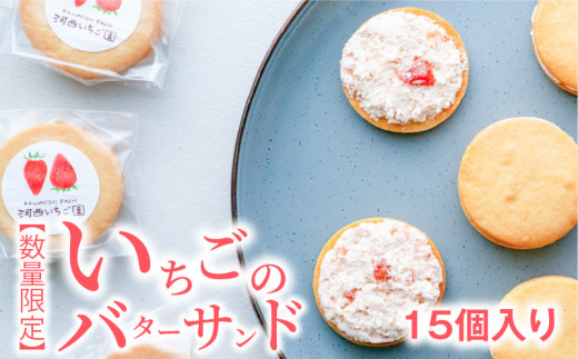 yʌz̃o^[Th@15  o^[N[Th   XC[cꌧRs15000َqEXC[cĂَq