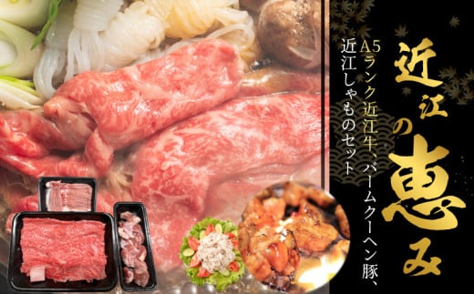 近江の恵み咲蔵A5ランク近江牛、バームクーヘン豚、近江しゃものセット   近江牛 しゃも A5ランク滋賀県守山市35000肉牛肉