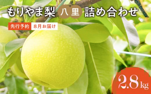 びわこもりやまフルーツランド もりやま梨 八里詰め合わせ【先行予約】滋賀県守山市14000果物・フルーツりんご・梨
