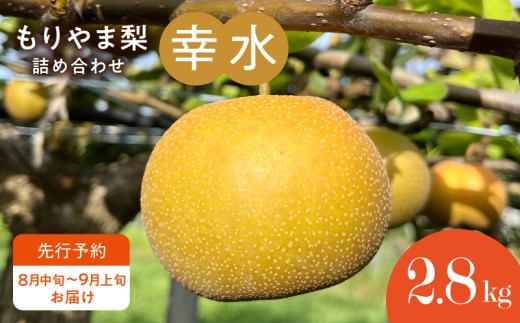 т킱܃t[ch ܗ Klߍ킹ys\zꌧRs14000ʕEt[c񂲁E