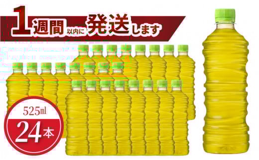  525ml PET xXi24{jꌧRs11000E