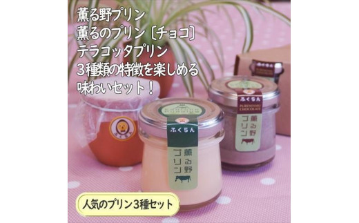 こだわりプリン3種セット 6個 〔2個×3種〕 【 プリン スイーツ お菓子 神奈川県 南足柄市 】神奈川県南足柄市9000菓子・スイーツプリン・ゼリー