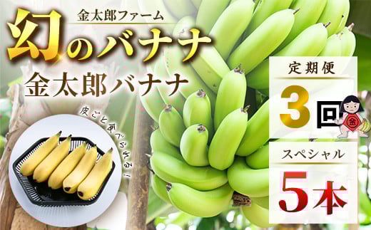 定期便:スペシャル 金太郎バナナ(15本)  5本×3回(毎月お届け) 栽培期間中農薬不使用 【国産 ギフト プレゼント 贈り物 お返し おいしい 金太郎バナナ 果物 くだもの フルーツ お歳暮