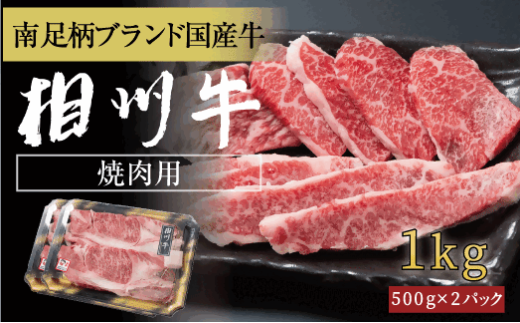 相州牛 焼肉・網焼き用カルビ 1.0kg(厚切り) 【 牛肉 お肉 ブランド牛 神奈川県 南足柄市 】神奈川県南足柄市50000肉牛肉