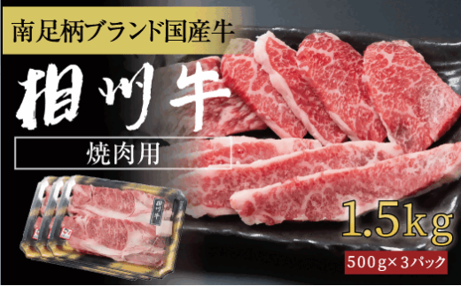 相州牛 焼肉・網焼き用カルビ 1.5kg(厚切り) 【 牛肉 お肉 ブランド牛 神奈川県 南足柄市 】神奈川県南足柄市74000肉牛肉