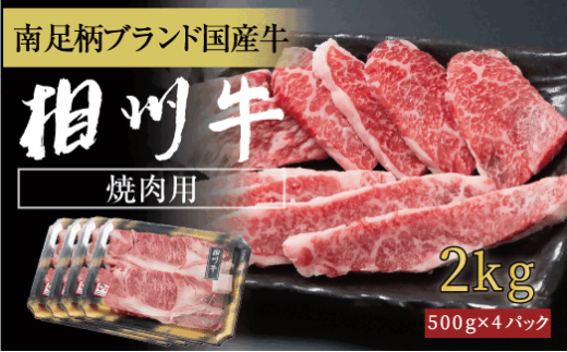 相州牛 焼肉・網焼き用カルビ 2.0kg(厚切り) 【 牛肉 お肉 ブランド牛 神奈川県 南足柄市 】神奈川県南足柄市95000肉牛肉