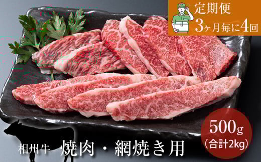 【定期便:3ヶ月毎に4回】相州牛(焼肉・網焼き用)500g【合計2kg】 【 牛肉 お肉 ブランド牛 神奈川県 南足柄市 】神奈川県南足柄市104000肉牛肉