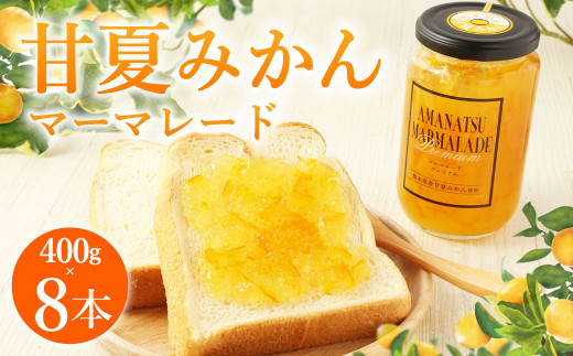 B22 甘夏みかん マーマレード 400g×8本 瓶入り 柑橘 ジャム福岡県みやま市25000鍋セット・総菜・加工食品ジャム・はちみつ