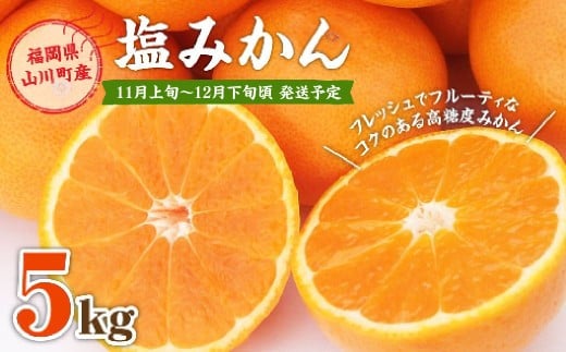 A157 福岡県山川産 塩みかん 5kg 【2025年11月上旬〜12月下旬発送予定】 蜜柑 花藻塩福岡県みやま市14000果物・フルーツみかん・柑橘類