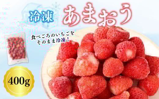 A192 冷凍あまおう 合計 1袋(400g) 冷凍 あまおう いちご イチゴ 福岡県 みやま市福岡県みやま市12000果物・フルーツいちご