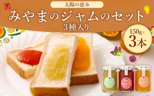 A306 太陽の恵み みやまのジャムのセット 3本入 調味料 ジャム トースト 手作り 詰合せ みかん トマト セロリ 福岡県 みやま市福岡県みやま市10000鍋セット・総菜・加工食品ジャム・はちみつ