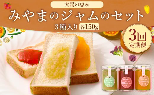 B54 【3ヶ月定期便】 太陽の恵み みやまのジャムのセット 3本入 調味料 ジャム トースト 手作り 詰合せ みかん トマト セロリ 福岡県 みやま市福岡県みやま市26000鍋セット・総菜・加工食品ジ