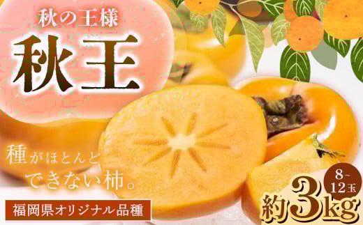 C21 福岡県産 ブランド柿・秋王 約3kg(8〜12玉)  【2025年10月下旬〜11月下旬発送予定】 柿 甘柿 秋王 果物 くだもの フルーツ福岡県みやま市35000果物・フルーツその他 果物・フルーツ