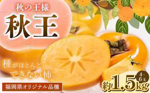 A198 福岡県産 ブランド柿・秋王 約1.5kg(4〜6玉) 【2025年10月下旬〜11月下旬発送予定】 柿 甘柿 秋王 果物 くだもの フルーツ福岡県みやま市20000果物・フルーツその他 果物・フルーツ