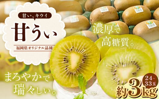 A200  福岡県産 ブランドキウイ・甘うぃ 約3kg(24〜33玉) 【2025年10月下旬〜12月上旬発送予定】 キウイ 果物 くだもの フルーツ福岡県みやま市19000果物・フルーツその他 果物・フルーツ