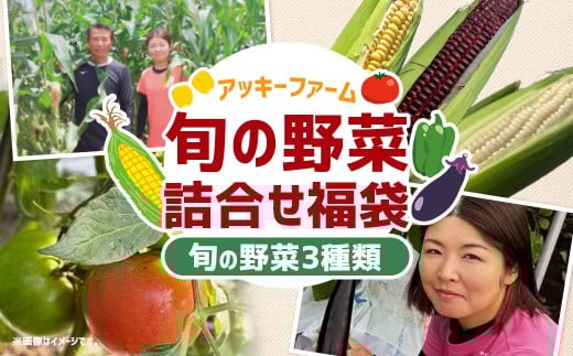 A322 アッキーファームの旬の野菜詰合せ福袋 (野菜3種) 詰め合わせ セット 季節 旬 お楽しみ 野菜 やさい なす トマト ミニトマト ピーマン ブロッコリー とうもろこし レタス カリフラワ