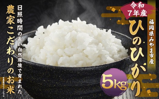 A325 【令和7年産】アッキーファームのお米「ひのひかり」 5kg 白米 ヒノヒカリ お米 こめ 精米 単一原料米 ごはん ご飯 福岡県産 国産 福岡県 みやま市 常温 【2025年11月上旬〜2026年8月下旬ま