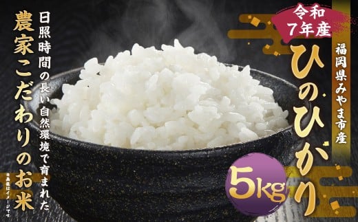 A325 【令和7年産】アッキーファームのお米「ひのひかり」 5kg 白米 ヒノヒカリ お米 こめ 精米 単一原料米 ごはん ご飯 福岡県産 国産 福岡県 みやま市 常温 【2025年11月上旬〜2026年8月下旬ま