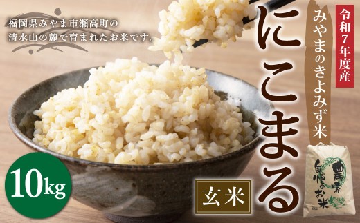 A233 みやまのきよみず米 にこまる 10kg 玄米 【2025年11月上旬より順次発送予定】福岡県みやま市31000米・パン玄米・雑穀米・もち米・餅