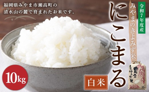 A285  みやまのきよみず米 にこまる 5kg(白米) 【2025年11月上旬より順次発送予定】 米 おこめ 精米 コメ ごはん ブランド米 食品福岡県みやま市20000米・パン白米