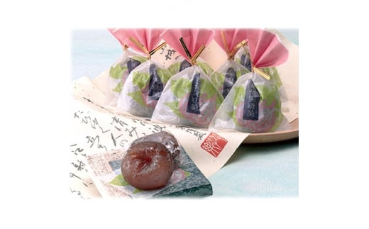 ف@7y1091745zs{zs9500َqEXC[c̑ aَq