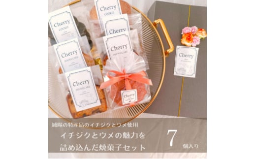 城陽市の特産であるイチジクとウメの魅力を詰め込んだ焼菓子セット【1571496】京都府城陽市10000菓子・スイーツ焼き菓子