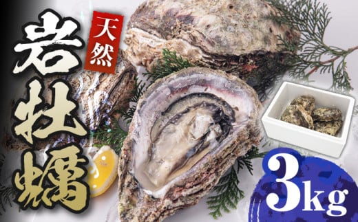 VR KL 3kgsΔnstyCzY B  y [WAD001]① VN ≲y BBQ o[xL[ JLtC y JL Δn   CN  lĂ L茧Δns17000E