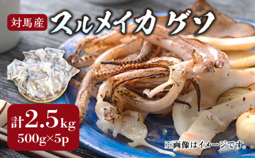 ΔnY XCJ Q\ 2.5kg yۓYzsΔnstCY VN  CJQ\  ܂ BBQ y  ĂՂ [WAE009]Ⓚ ȒP  XCJ    VՂ