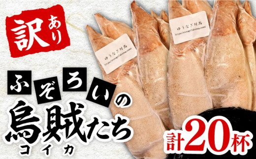 ӂ낢  G(RCJ)  2024sΔnsty䂤ȂΔnzCJ  Ⓚ VN ȒP CN  ϕ g Ă A 󂠂 [WAG022]B  Δn  y  G