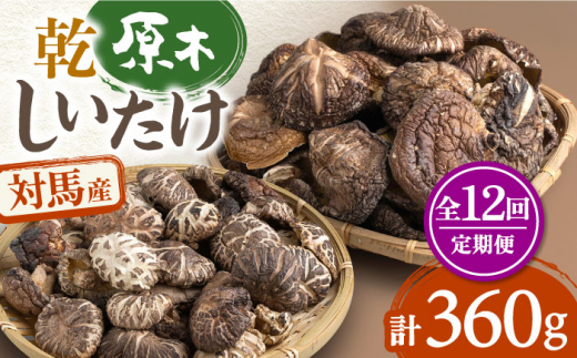 yS12ցzΔnY    360gsΔnstyi_z  VC^P ő   [WAJ015]茧Δns184000E