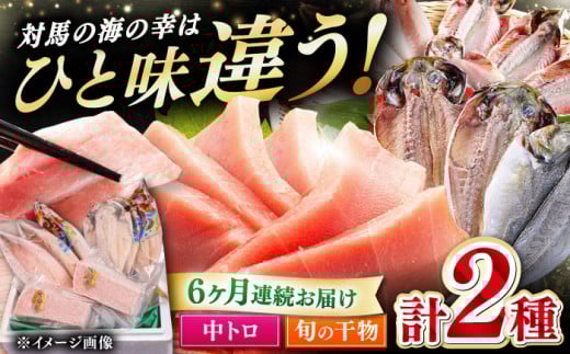 yS6ցzΔnY {}O g 300g & {̊ 2 sΔnst yΊCz [WAH010] }O ܂  { {}O {B g g Ƃ hg  {  n AW J}X Ⓚ CN