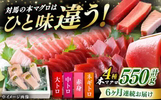 yS6ցzΔnY {}O 4 v550giԐg/g/g/lMgjsΔnst yΊCz[WAH016] }O ܂  { {}O {B g g Ƃ g Ƃ Ԑg ˂