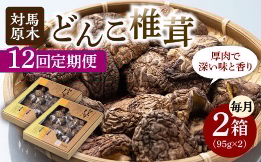 yS12ցzΔn  ǂ ő 95g×2sΔnsty͂犔Ёz ΔnY    ̂ 蕨 [WAI059]茧Δns321000E