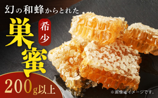 yΕΏہzΔn jz~co`  ݂͂ H  sΔnsty?c@l n㋦ciΔnRm\jzB  XC[c gbsO H  [WAM022]