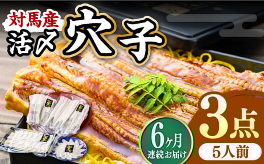 yS6ցzΔnY Y q R_ Zbg DyTHEEΔnЁzsΔnstVN Ȃ hg VՂ CN  ȒP 5lO [WAS016]茧Δns206000ECYȂ