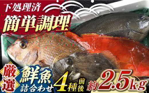 yԌIzΔnY N lߍ킹 4O 2.5sΔnstyΊCzVN VR  ① Zbg [WAH021]茧Δns18000ECYN