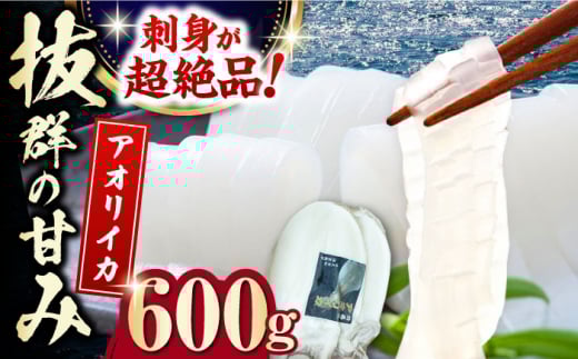 ΔnY AICJ 600gsΔnstyۉƏzG  hg CN Ⓚ [WAA028]茧Δns15000ECYCJE^REEj