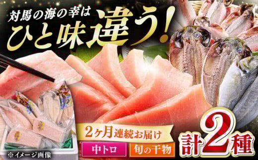 yS2ցzΔnY {}O g300g sΔnst yΊCz VN }O  { g CN Ⓚ l Ƃ {}O  Ђ [WAH031]茧Δns39000ECYN