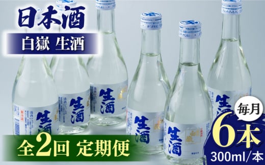 yS2ցz{   300ml 6{ sΔnstyԎ𑢊Ёz  r n ①z [WAN041]茧Δns31000EAR[{