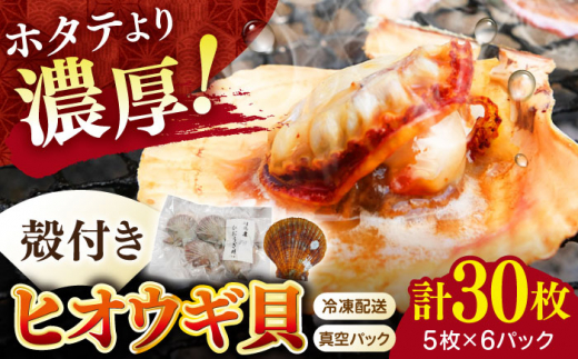 ΔnYЂL 6pbNi5jΔnsyΔnn揤Ёz Ⓚz VN CN L BBQ ȒP  [WAC061]茧Δns16000ECYL