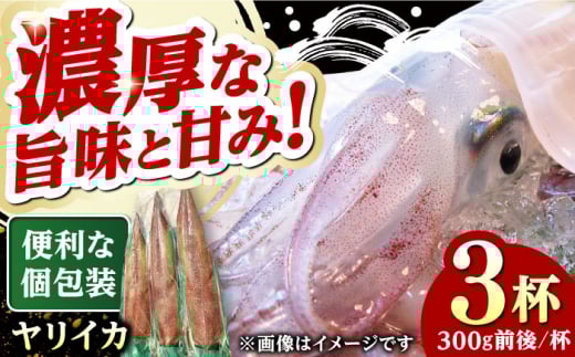 ΔnY CJ 3t ΔnsyGYX^Cz VN Ⓚ 肢 hg CN [WCN004]茧Δns18000ECY