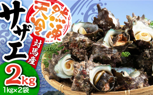 ΔnY VRⓀTUG 2kg Δns@y ۉƏz TUG hg CN L L CY [WAA038]茧Δns18000ECYL