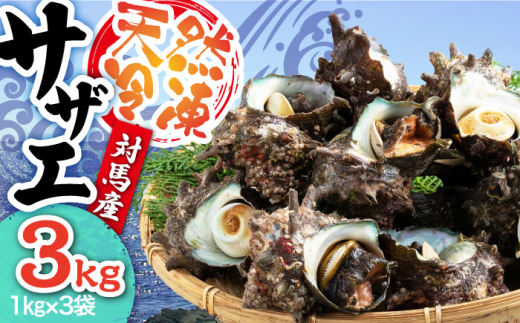 ΔnY VRⓀTUG 3kg Δns@y ۉƏz TUG hg CN L L CY [WAA039]茧Δns24000ECYL