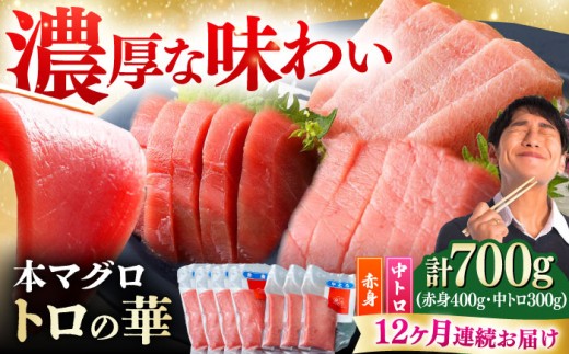 yS12ցzΔnY {}O 700giԐg400gAg300gj Δnsy˒JXz g̉ Δn VN }O g  hg NxQ [WAQ050]茧Δns442000ECY