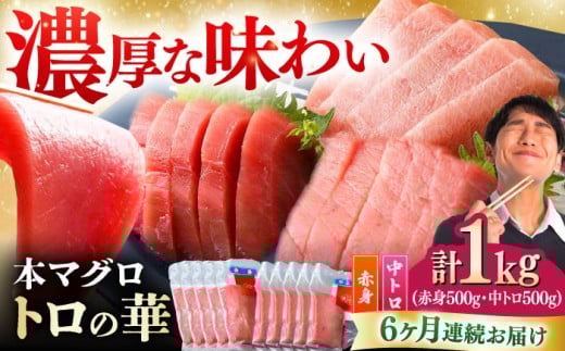 yS6ցzΔnY {}O 1kgiԐg500gAg500gj Δnsy˒JXz g̉ Δn VN }O g  hg NxQ [WAQ053]茧Δns304000ECY