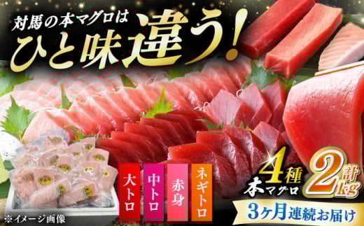 yS3ցz ΔnY {}O 4 v2kgiԐg/g/g/lMgjsΔnstyΊCz Ⓚz e VN CN 芪i [WAH034]茧Δns228000ECYN